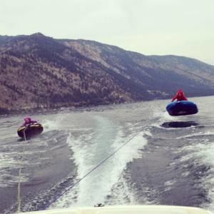 Meet your Posher, Dakota